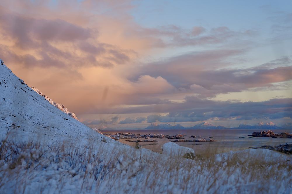 Snødekt fjellside med utsikt mot havet i rosa vinterlys