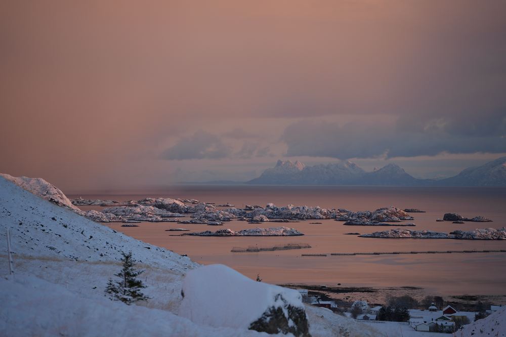 Snødekte holmer i fjorden i vinterlys